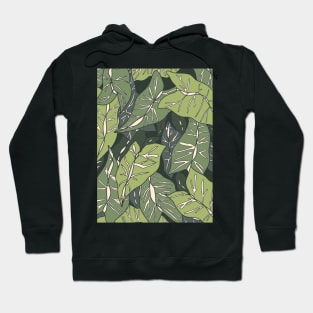 Modern Tropical Leaf Design // Alocasia Polly Hoodie